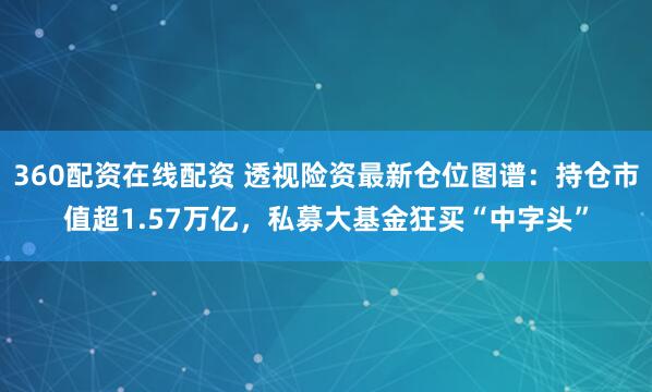 360配资在线配资 透视险资最新仓位图谱：持仓市值超1.57万亿，私募大基金狂买“中字头”