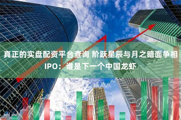 真正的实盘配资平台查询 阶跃星辰与月之暗面争相IPO：谁是下一个中国龙虾